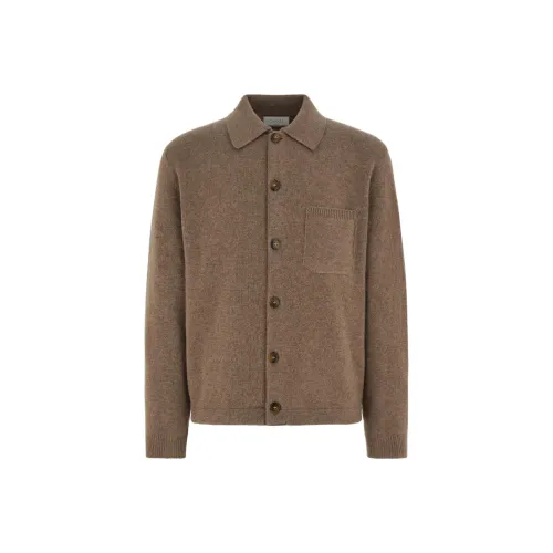 Canali Коричневый Мужской Свитеры