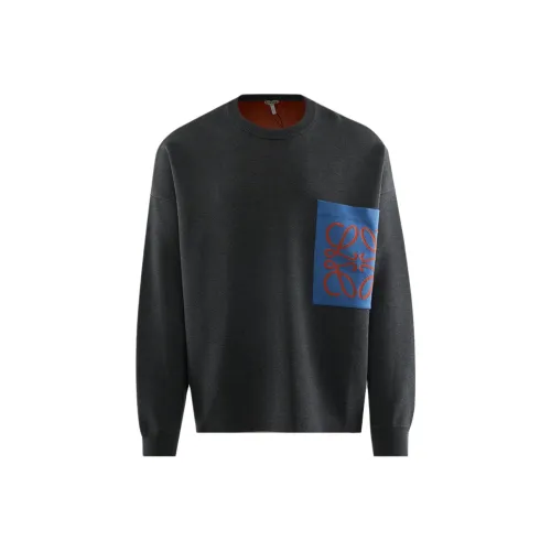 LOEWE Серый Мужской Свитшот