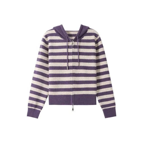 MJ Женская трикотажная одежда