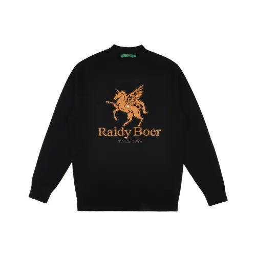 Raidy Boer Мужские Свитера