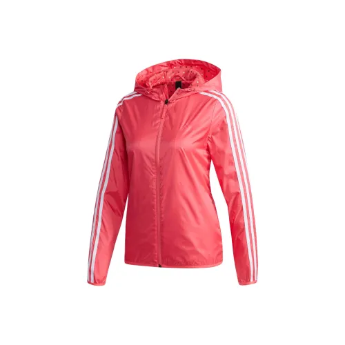Adidas Natural Powder White Women's Jackets