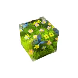 [Волшебник страны Оз Весна Бабочка] Синий Черный Бабочка