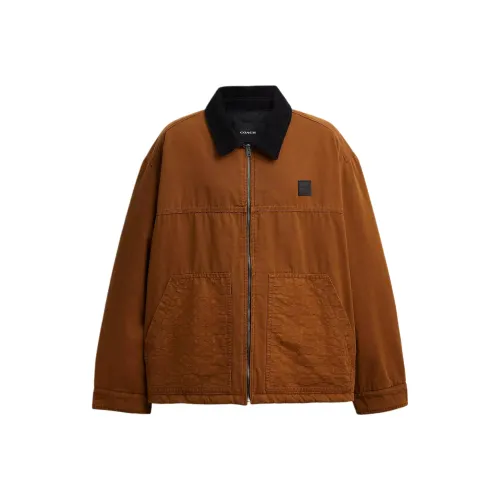 COACH Коричневый Мужской Пуховик