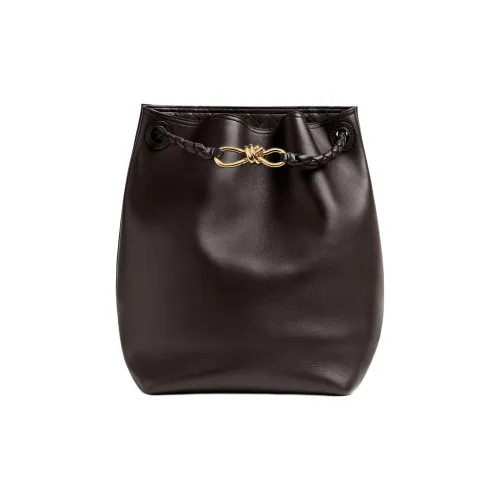 Bottega Veneta Andiamo series Коровья кожа Ведрообразная сумка Сумка через плечо Женская Шоколадно-коричневая