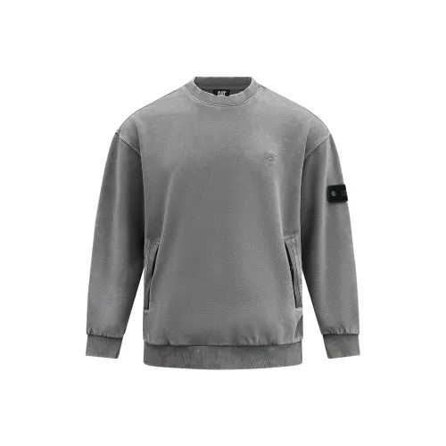 CAT Мужские Свитшоты