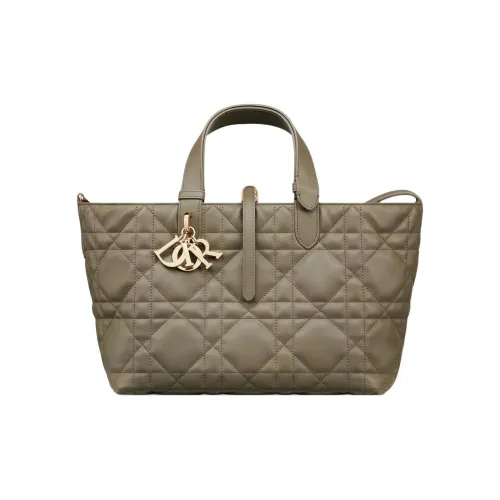 DIOR Toujours Телячья кожа Сумка Средний Женские Глина Зеленый