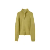 Цвет зеленого авокадо