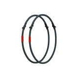 Сойка Клетчатый