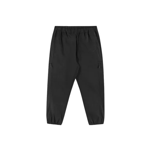 Dickies Повседневные брюки DK0A88MM Унисекс
