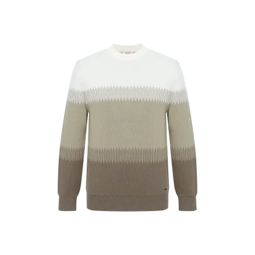 HECHTER Мужские Свитера