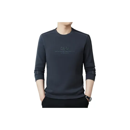 PIERRE CARDIN Мужские Свитшоты