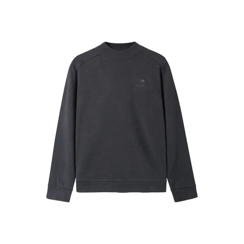 CAMEL Дралон Утепляющий Термический Полуводолазка Длинный Рукав Основа Т-Рубашка Мужская