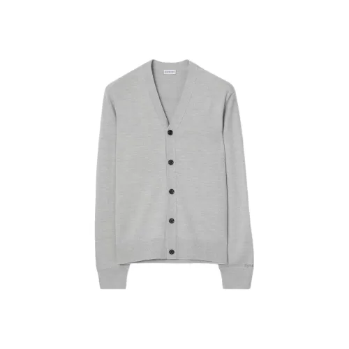 Burberry Серые Мужские Свитера