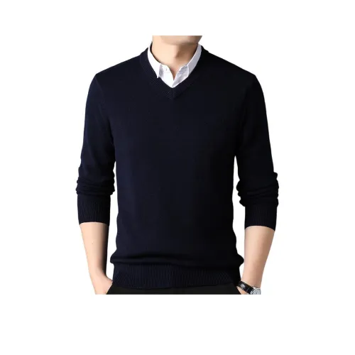 PIERRE CARDIN Мужской Трикотаж