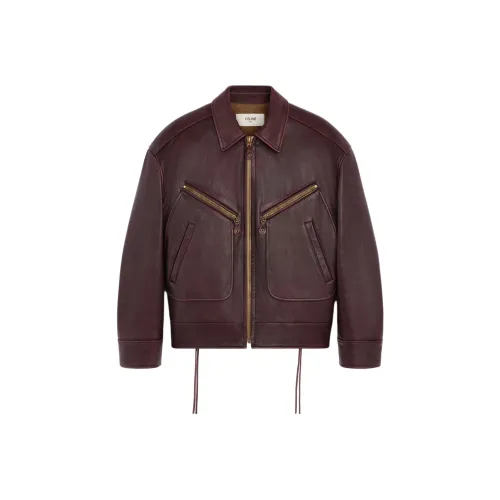 CELINE FW25 Хлопковый пуховик Мужской