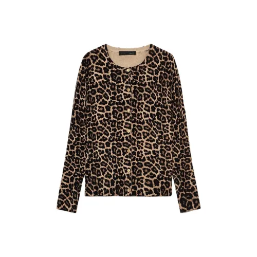 ZARA Черный Коричневый Женский Трикотаж