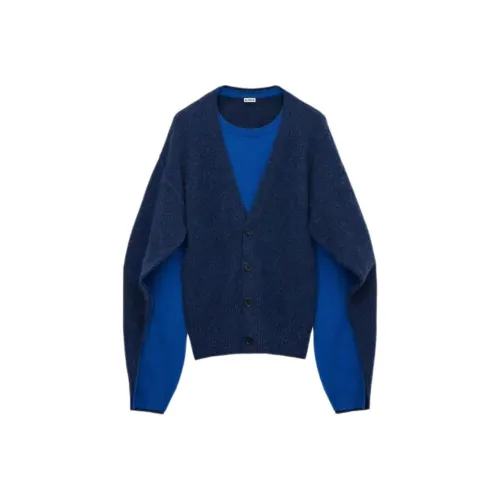 LOEWE Синие Мужские Свитера