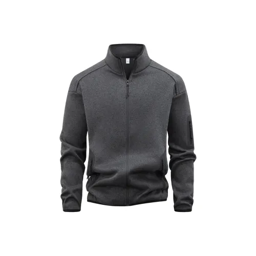 CariteSport Full Zippers Повседневный свитшот Мужской