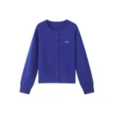 Синий Кляйна