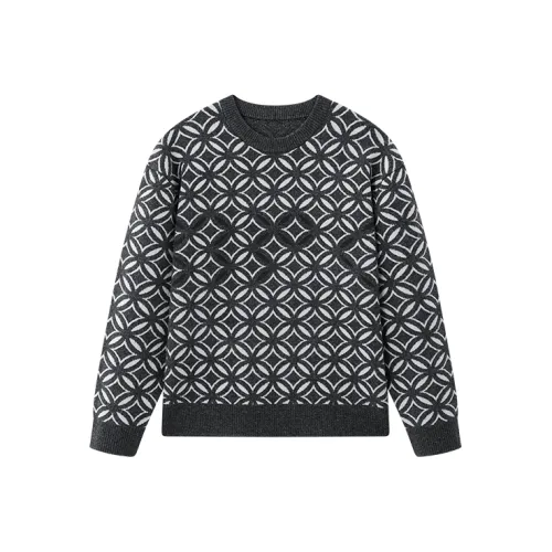 NPC Мужские Свитера