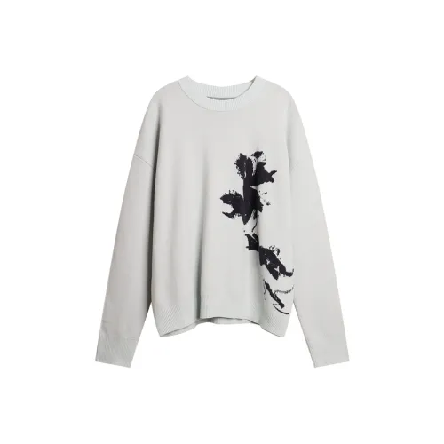 DianThia Женские Свитера