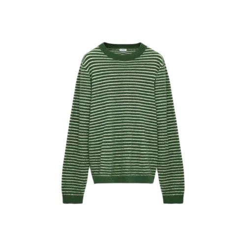 LOEWE Зеленые Мужские Свитера