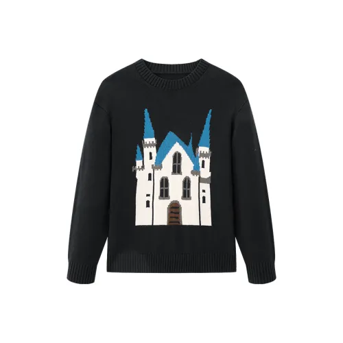 NPC Мужские Свитера