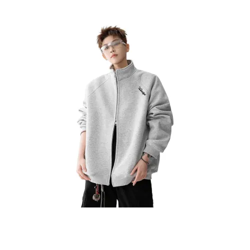 FUNST Серый Мужской Свитшот