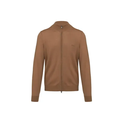 Hugo Boss Коричневые Мужские Свитера