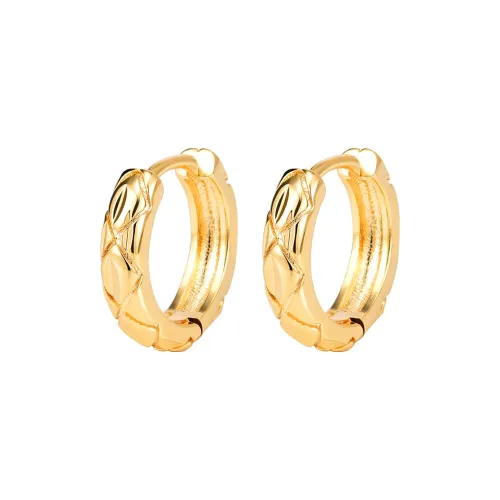 LADYCOLOUR Alloy Рefined Premium Earrings Women's