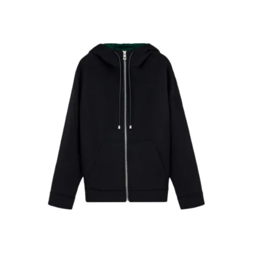 LOEWE Совместное издание x Louis Wain SS26 Куртки и Пальто Мужской