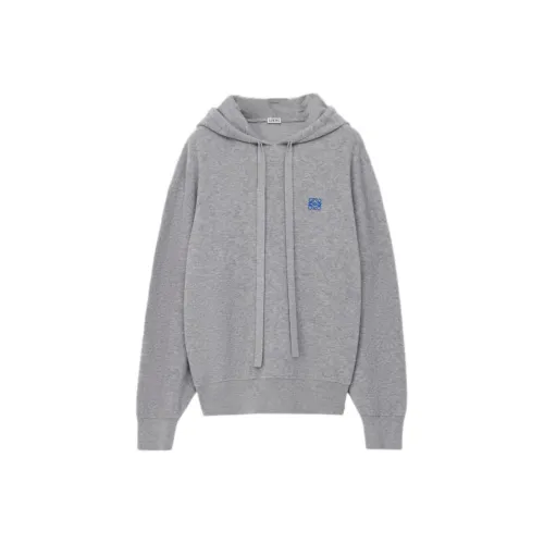 LOEWE Серый Мужской Свитшот