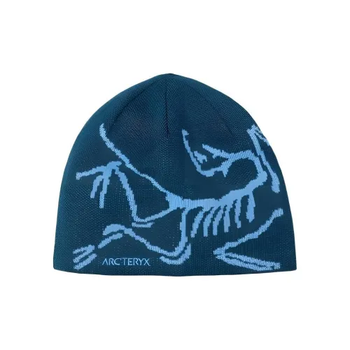 Arcteryx Полиэстер Beanies Унисекс Синий