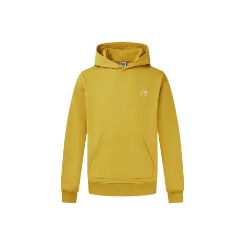 Пони Золотой Мужские Толстовки