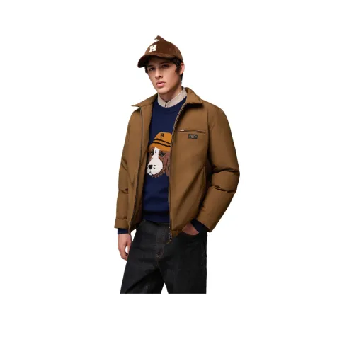 HAZZYS PHIZ Мужская пуховая одежда