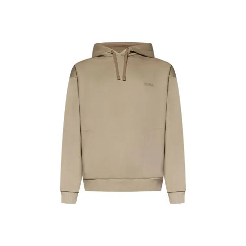 Ermenegildo Zegna Бежевые Мужские Толстовки