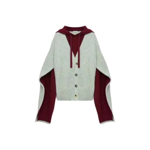 LOEWE Зеленый Фуксия Мужские Свитера