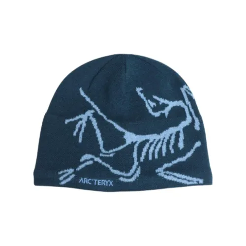 Arcteryx Шерсть Бини Унисекс Синий