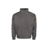 Волчий серый