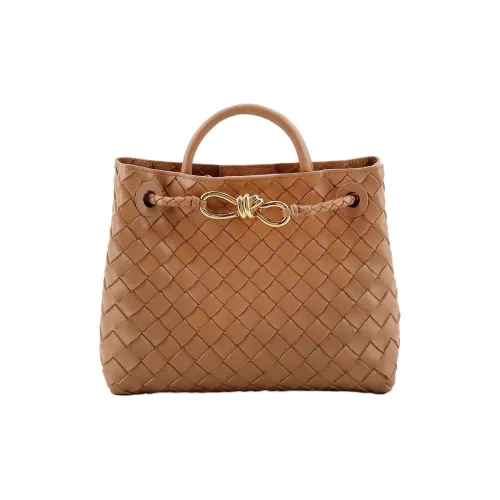 Bottega Veneta Andiamo series Кожа Одно плечо Сумка Маленькая Женская Коричневая