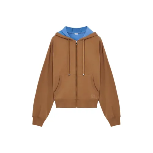 LOEWE Бежевый Умбра Мужские Свитшоты