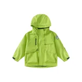 Зелёный одиночный слой