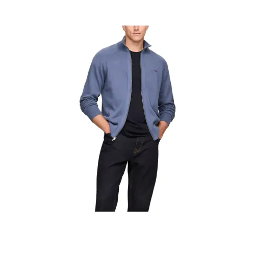 Tommy Hilfiger Синий Мужской Трикотаж