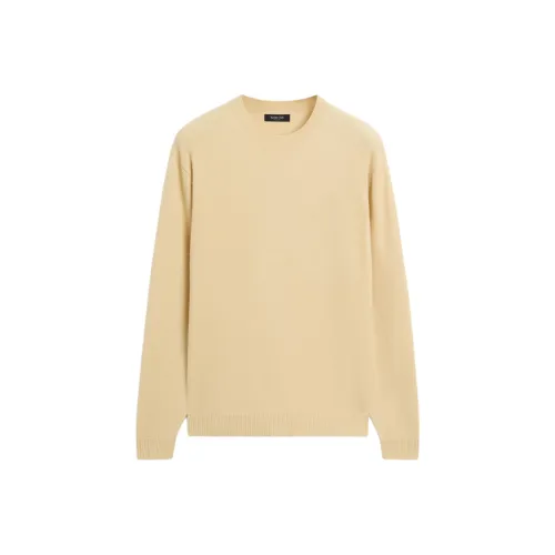 Massimo Dutti Тауповый Мужской Трикотаж