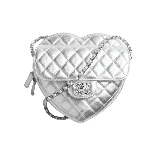 CHANEL Кожа Сумка через плечо Стандартная Женская Серебряный