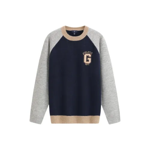 GAP совместный бренд Мужской Трикотаж