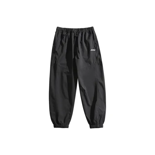 JEEP Унисекс Повседневные Брюки