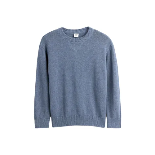 GAP совместные детские свитеры