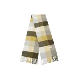 Туманный Имбирь