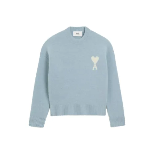 AMIPARIS FW25 Синий Унисекс Трикотаж